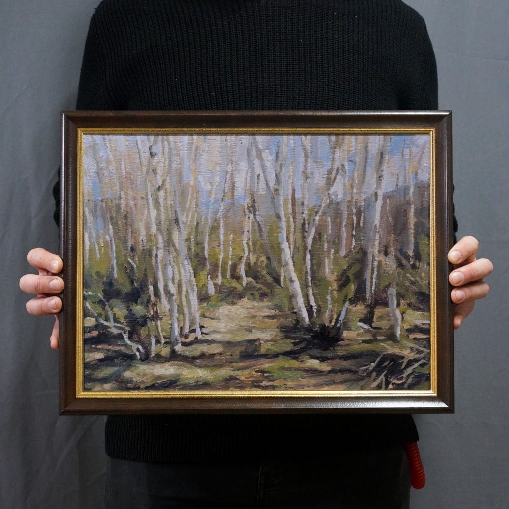 Birches in spring