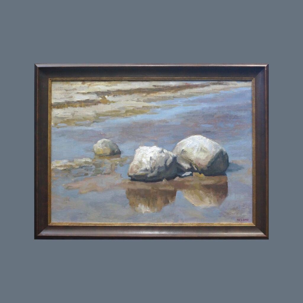 Seby stones in water